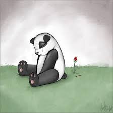 SadPanda.jpg