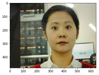 Opencv face detect webcam-group1.png