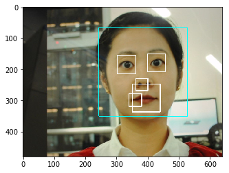 Opencv face detect webcam-group2.png