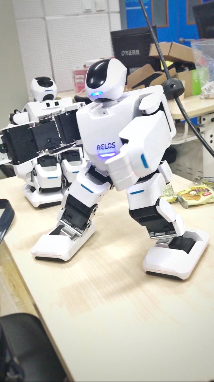 LEJUROBOT.jpg