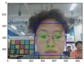 人脸识别刘子驾.png
